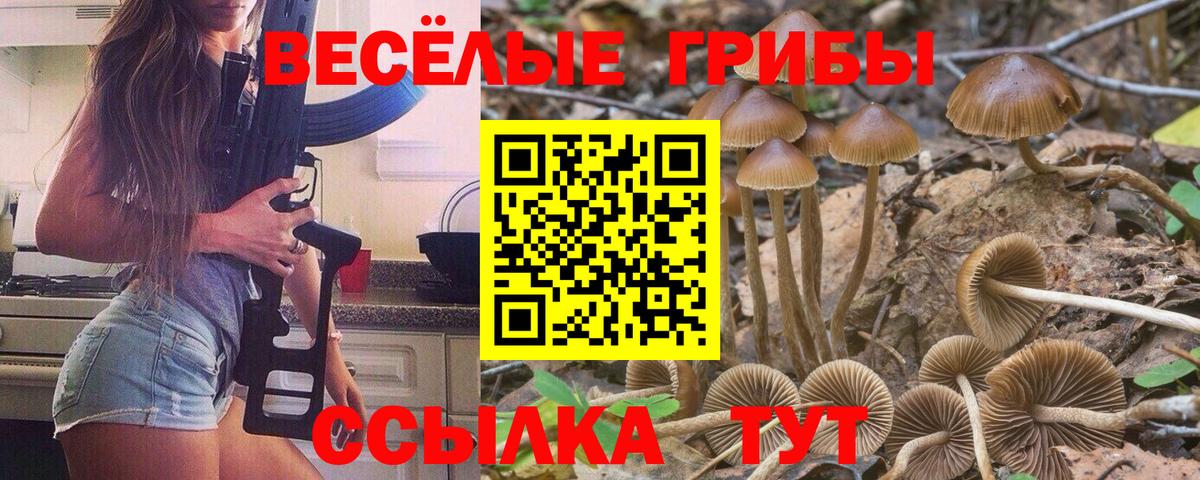 купить наркотики цена  Псилоцибиновые грибы Cubensis  Галлюциногенные грибы прущие грибы  Вход с VPN  Артём 